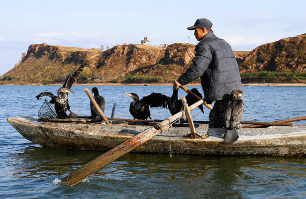 Заложники Японского моря