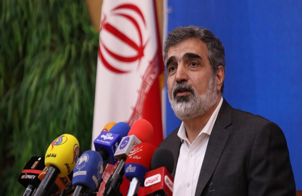 Камальванди: ядерная деятельность Ирана находится в рамках закона