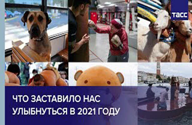 Что заставило нас улыбнуться в 2021 году