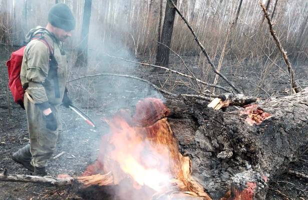 В Иркутской области горит почти 2 тыс. га леса