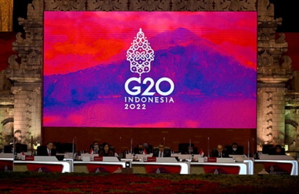 В Индонезии рассказали о планах Путина приехать на G20