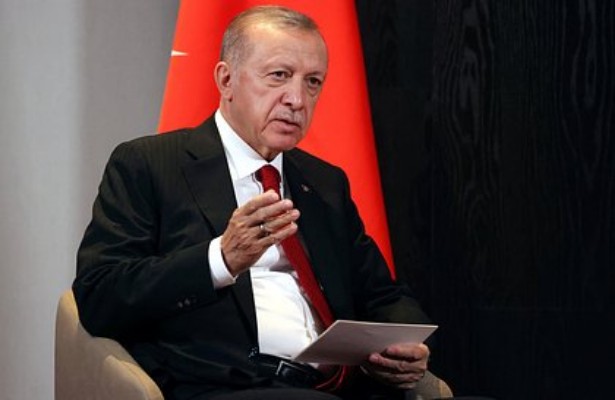 Эрдоган заявил о стремлении Путина к скорейшему завершению конфликта на Украине