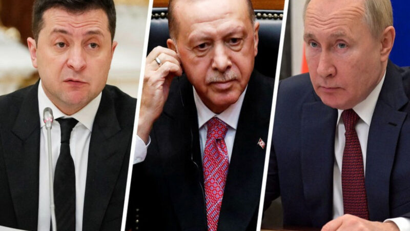 СМИ: Эрдоган после переговоров в Стамбуле с Зеленским может встретиться с Путинoм