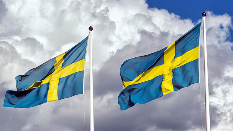 Организация исламского сотрудничества приостановила статус спецпосланника Швеции