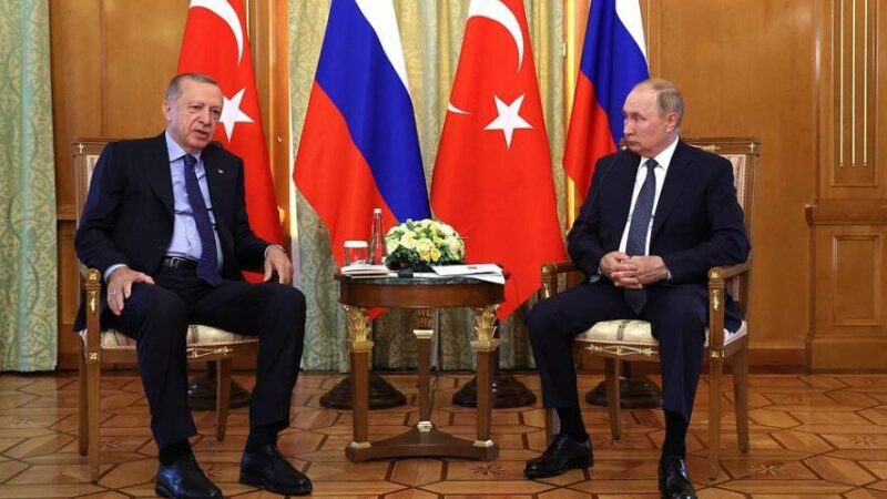 Кремль заявил, что Эрдоган поблагодарил Путина за помощь в тушении лесных пожаров в Турции