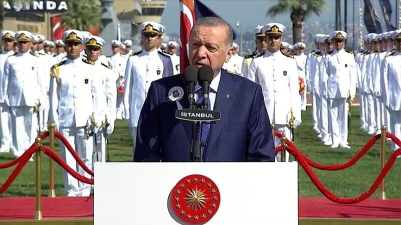 Эрдоган: Несмотря на давления, Турция будет придерживаться независимого курса