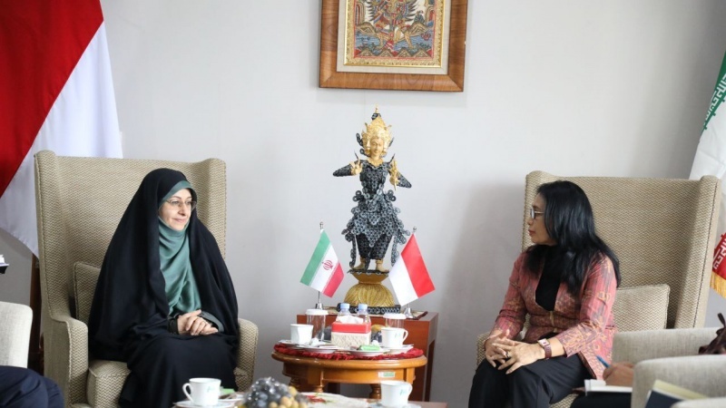 Акцент вице-президента Ирана по делам женщин и семьи на расширении отношений с Индонезией