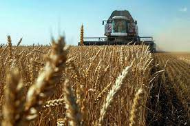 В ООО «ЭПТ» сообщили о намерении построить терминалы в Иране для поставок зерна из РФ