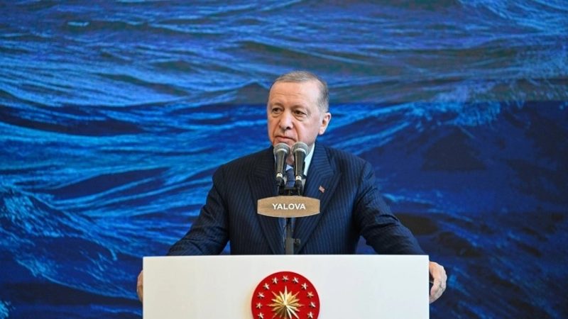 Эрдоган: Страны Запада игнорируют преступления «современного фюрера» Нетаньяху