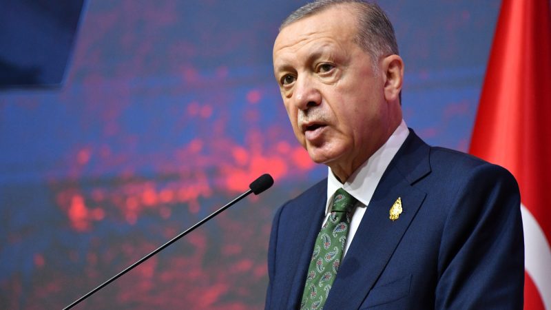 В Турции обвинили Эрдогана в росте торговли с Израилем