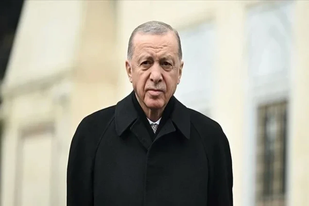 Эрдоган: Хуситы успешно защищаются от США и Британии