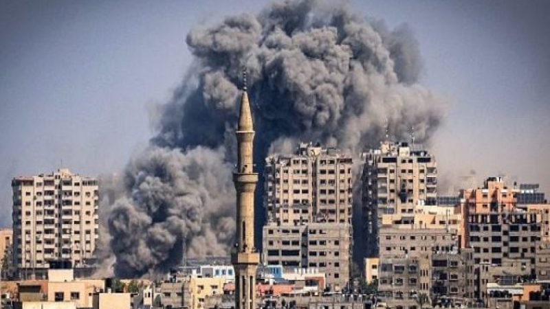 Число погибших в Газе достигло 24620 человек