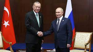 СМИ: в Турции ожидают возможного визита Путина 12 февраля
