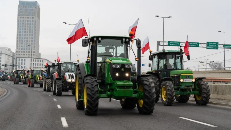 Польские фермеры уничтожают украинское зерно на границе