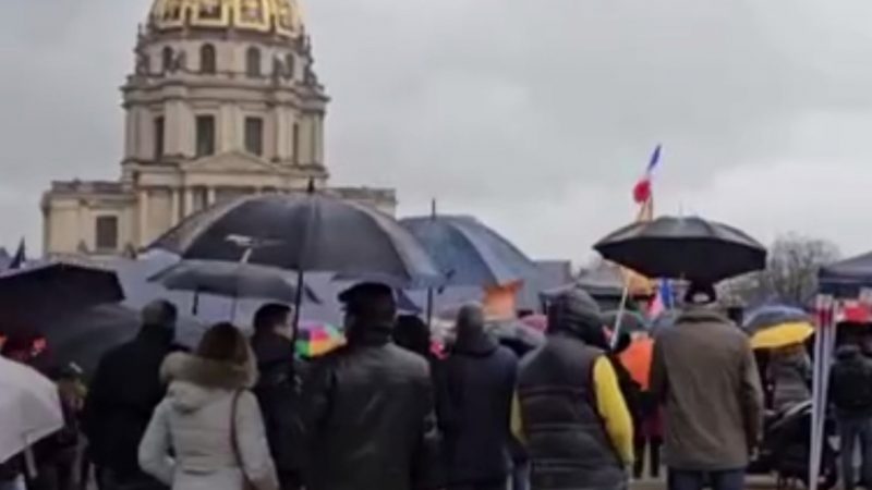 «Макрона в отставку!»: в Париже прошла акция протеста