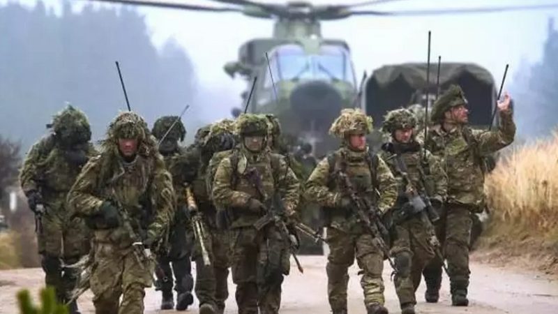 Канада может отправить контингент в Украину для обучения украинских военных